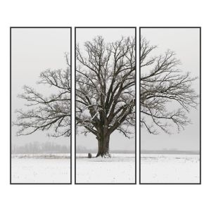 Trio de Quadro Inverno Branco II
