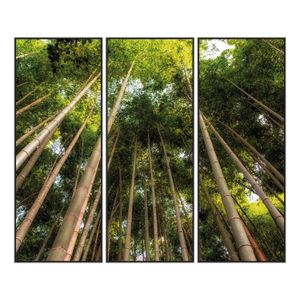 Trio de Quadro Bamboo