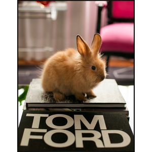 Quadro Tom Ford